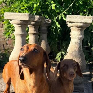 sandstone cleaning of garden ornaments