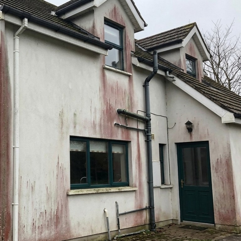 Removing Red and Green Algae Staining from Render Across Scotland